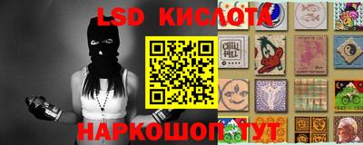 apvp Краснодар
