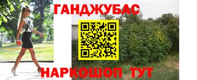 apvp Краснодар