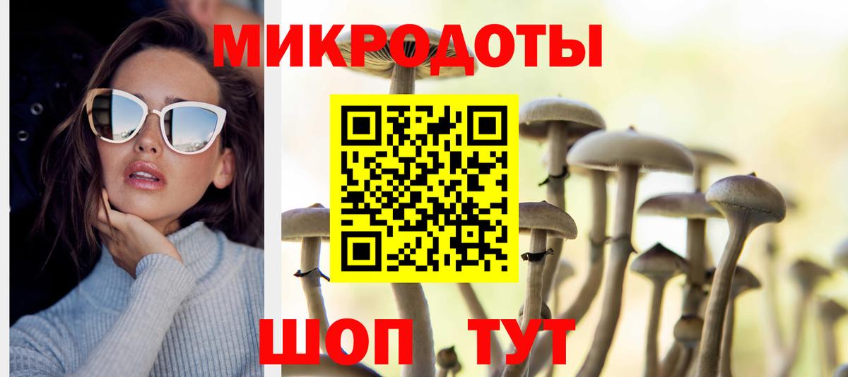 Галлюциногенные грибы MAGIC MUSHROOMS Карачаевск